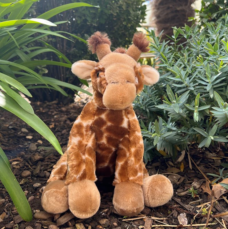 Giraffe - Large Soft Toy