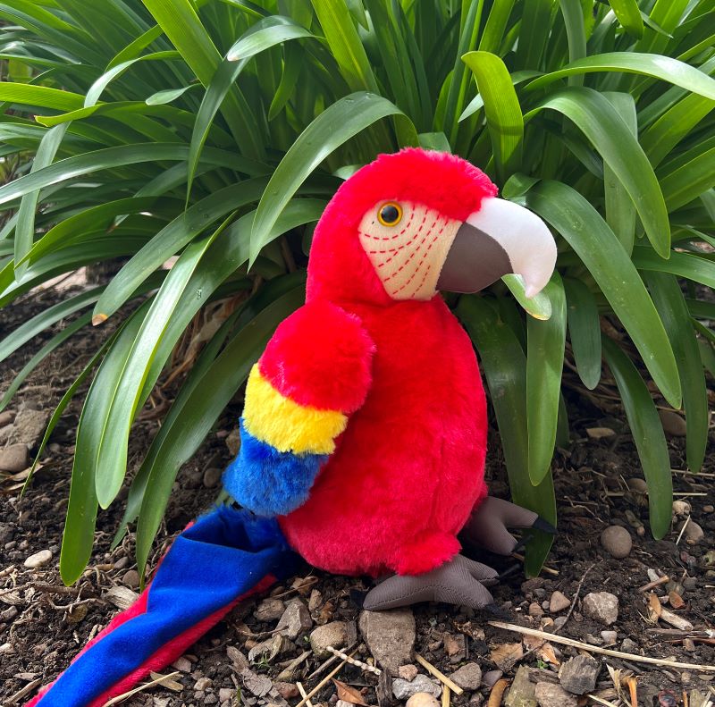 Scarlet Macaw - Large Soft Toy