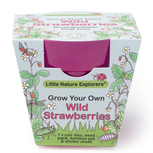 Children's Grow Your Own Wild Strawberries Growing Kit