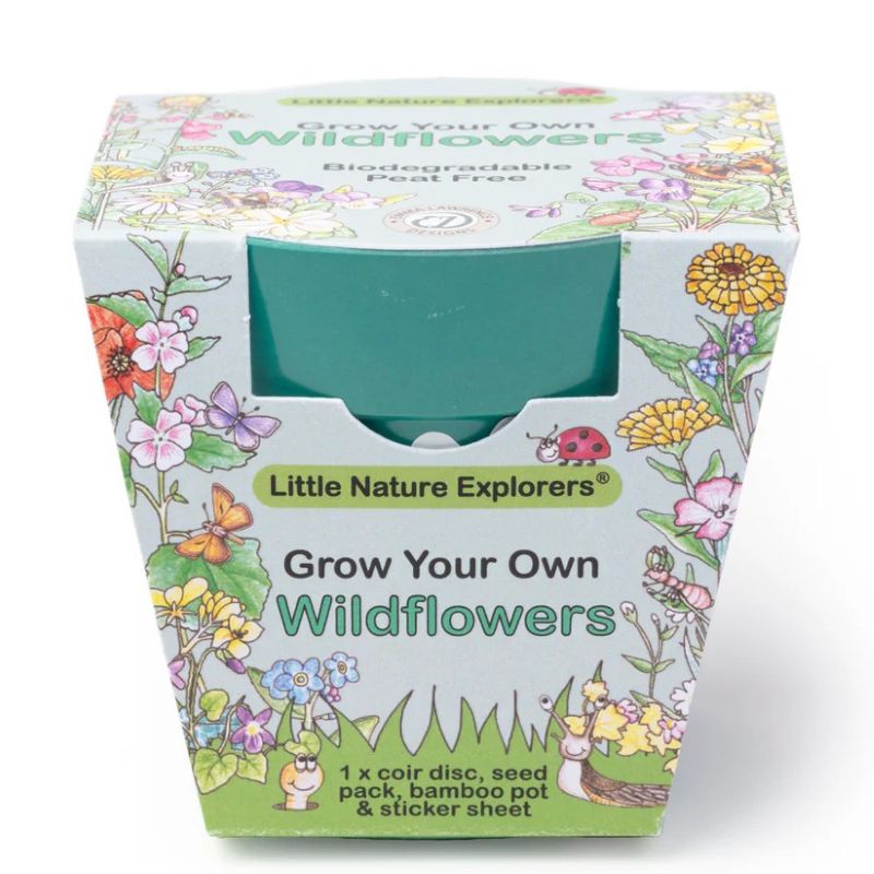 Box of 'Grow Your Own Wildflowers' kit by Little Nature Explorers on a white background