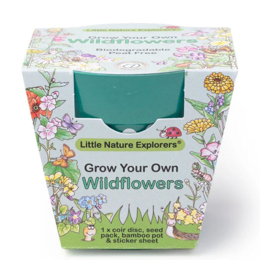 Little Nature Explorers Children's Wildflower Growing Kit