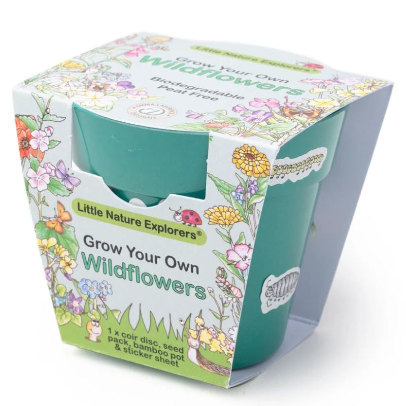 Packaging for 'Grow Your Own Wildflowers' kit by Little Nature Explorers on a white background.