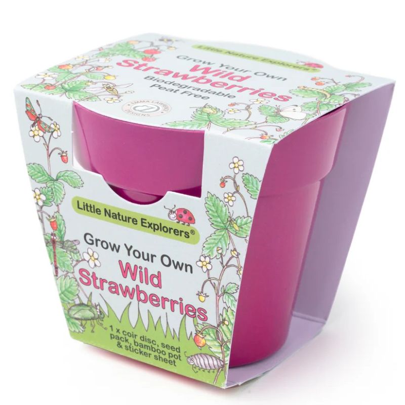 Children's Grow Your Own Wild Strawberries Growing Kit