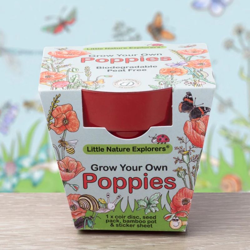 Box of 'Grow Your Own Poppies' kit by Little Nature Explorers with floral design and red window
