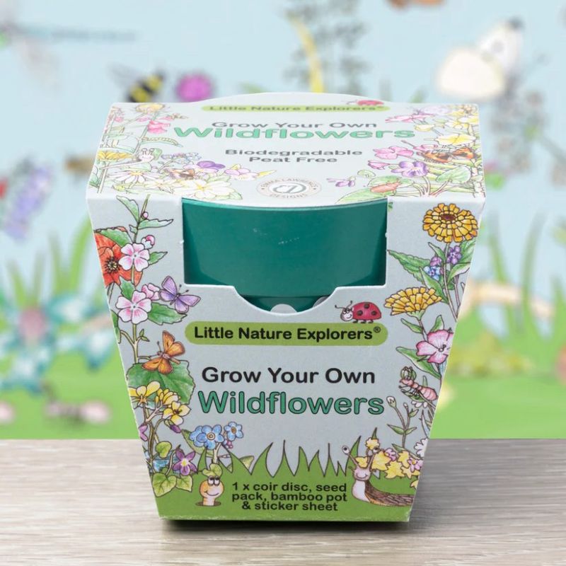 Box of 'Grow Your Own Wildflowers' kit by Little Nature Explorers with floral design on a blurred natural background.