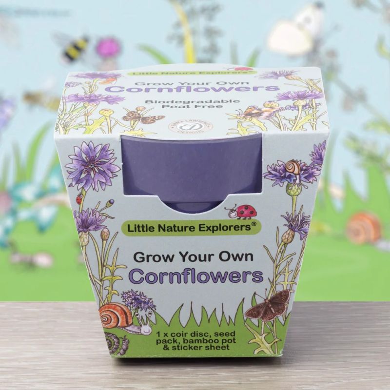 Box of 'Grow Your Own Cornflowers' kit by Little Nature Explorers on a wooden surface with a blurred natural background.