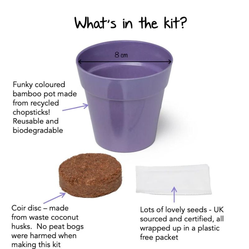 Purple bamboo pot with coir disc and seed packet, labeled 'What's in the kit?'
