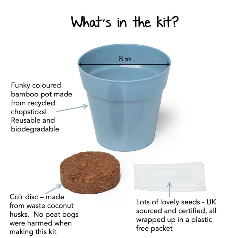 Bamboo pot, coir disc, and plastic-free seed packet with text on a white background