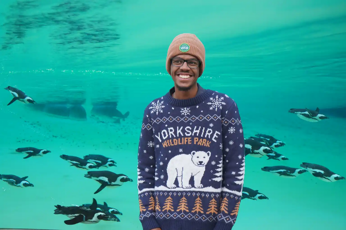 YWP Winter Jumper