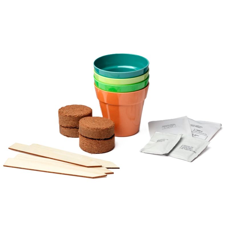 Bee and Butterfly Flower Garden Gift Bag