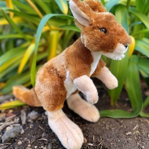 Kangaroo - Large Soft Toy