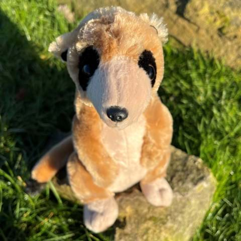 Meerkat - Large Soft Toy