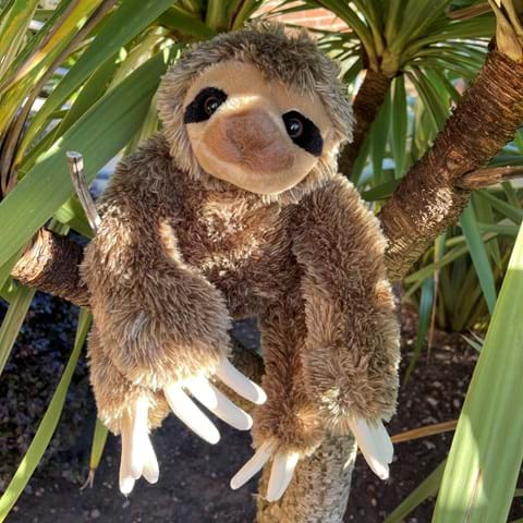 Sloth - Large Soft Toy