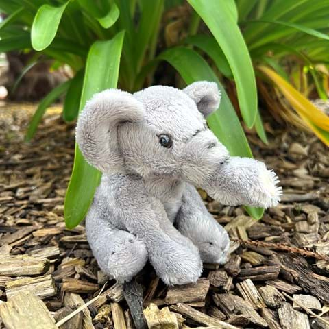 Elephant - Small Soft Toy