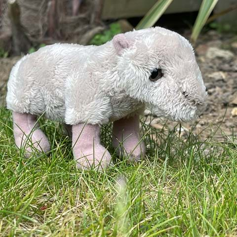 Capybara - Small Soft Toy